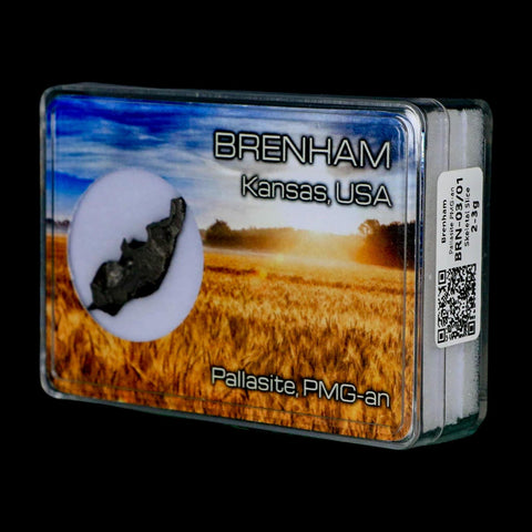 1.2" Brenham Meteorite Specimen Kiowa County, Kansas USA 2.55 Grams Display - Fossil Age Minerals