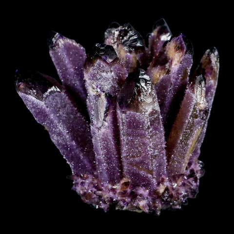 3.5" Purple Phantom Ghost Quartz Crystal, Chlorite Cluster Mineral Specimen - Fossil Age Minerals