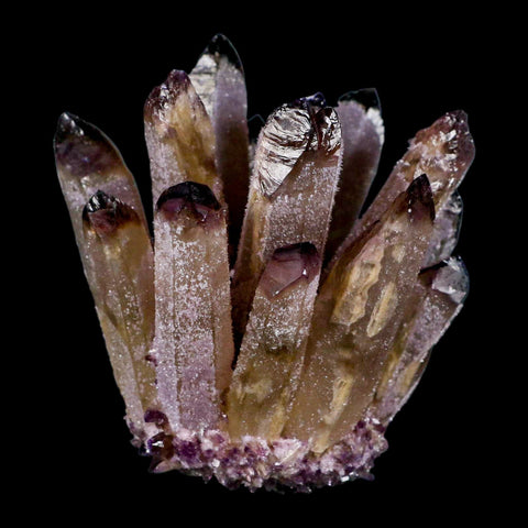 3.6" Purple Phantom Ghost Quartz Crystal, Chlorite Cluster Mineral Specimen - Fossil Age Minerals