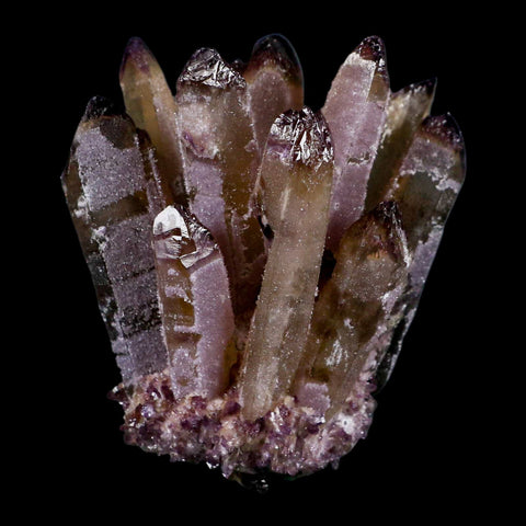 3.4" Purple Phantom Ghost Quartz Crystal, Chlorite Cluster Mineral Specimen - Fossil Age Minerals