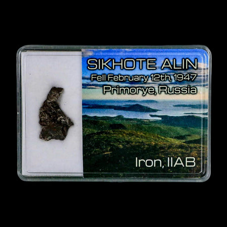 0.9" Sikhote Alin Meteorite Specimen Primorye Russia Meteorites 4.50 Grams Display