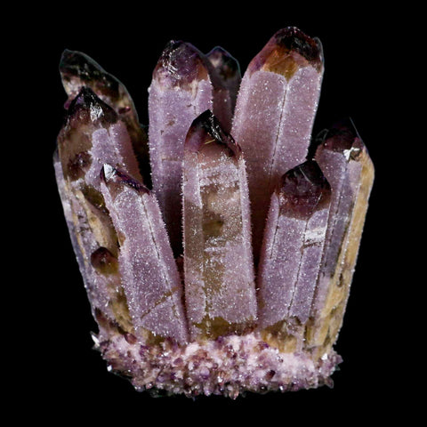 4" Purple Phantom Ghost Quartz Crystal, Chlorite Cluster Mineral Specimen - Fossil Age Minerals