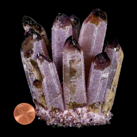 4" Purple Phantom Ghost Quartz Crystal, Chlorite Cluster Mineral Specimen - Fossil Age Minerals