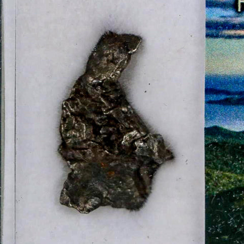 0.9" Sikhote Alin Meteorite Specimen Primorye Russia Meteorites 4.50 Grams Display - Fossil Age Minerals
