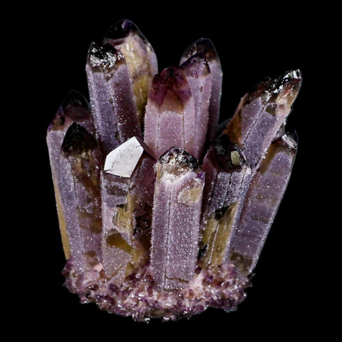 4" Purple Phantom Ghost Quartz Crystal, Chlorite Cluster Mineral Specimen - Fossil Age Minerals