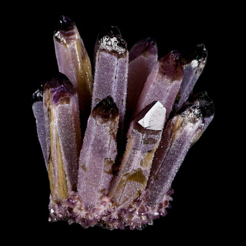 4" Purple Phantom Ghost Quartz Crystal, Chlorite Cluster Mineral Specimen - Fossil Age Minerals