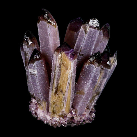 4" Purple Phantom Ghost Quartz Crystal, Chlorite Cluster Mineral Specimen - Fossil Age Minerals