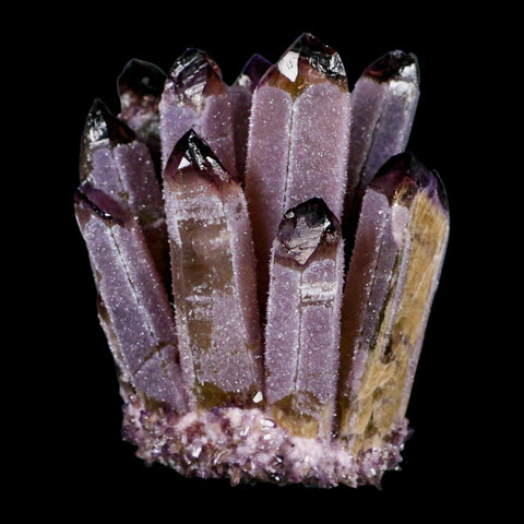4" Purple Phantom Ghost Quartz Crystal, Chlorite Cluster Mineral Specimen - Fossil Age Minerals