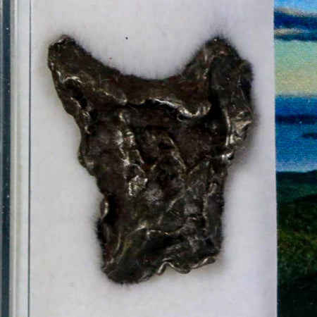 0.8" Sikhote Alin Meteorite Specimen Primorye Russia Meteorites 4.32 Grams Display