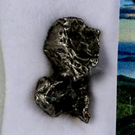 0.8" Sikhote Alin Meteorite Specimen Primorye Russia Meteorites 4.90 Grams Display