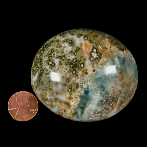 2.6" Natural Polished Ocean Jasper Crystal Palm Stone Location Madagascar Healing - Fossil Age Minerals