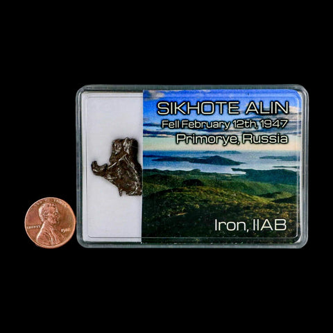 0.9" Sikhote Alin Meteorite Specimen Primorye Russia Meteorites 4.67 Grams Display - Fossil Age Minerals