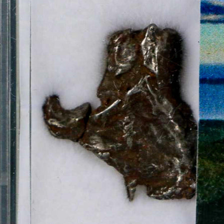 0.9" Sikhote Alin Meteorite Specimen Primorye Russia Meteorites 4.67 Grams Display