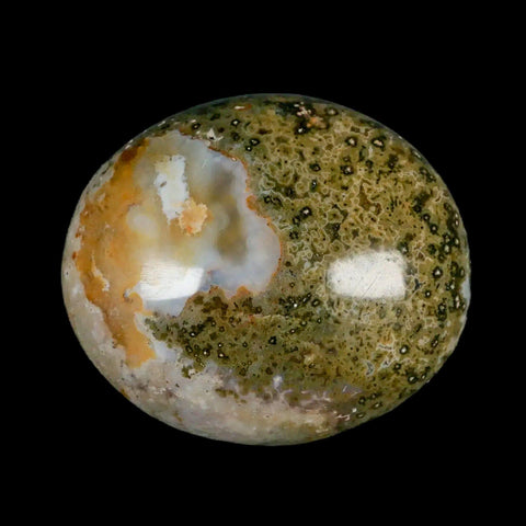2.6" Natural Polished Ocean Jasper Crystal Palm Stone Location Madagascar Healing - Fossil Age Minerals
