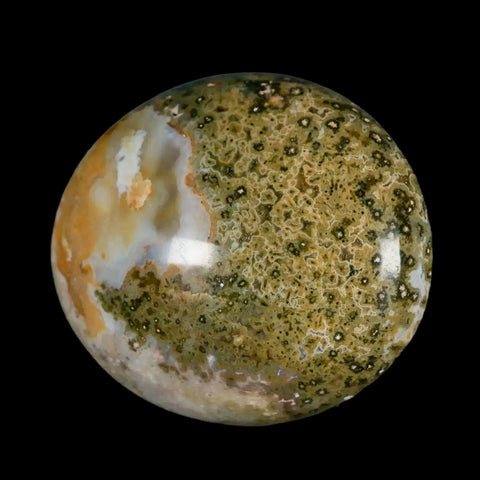 2.6" Natural Polished Ocean Jasper Crystal Palm Stone Location Madagascar Healing - Fossil Age Minerals