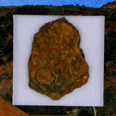 0.9" Henbury Meteorite Specimen Australia Northern Territory 1.83 Grams Display - Fossil Age Minerals