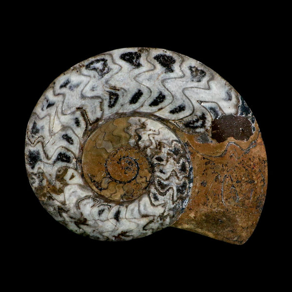 5.1