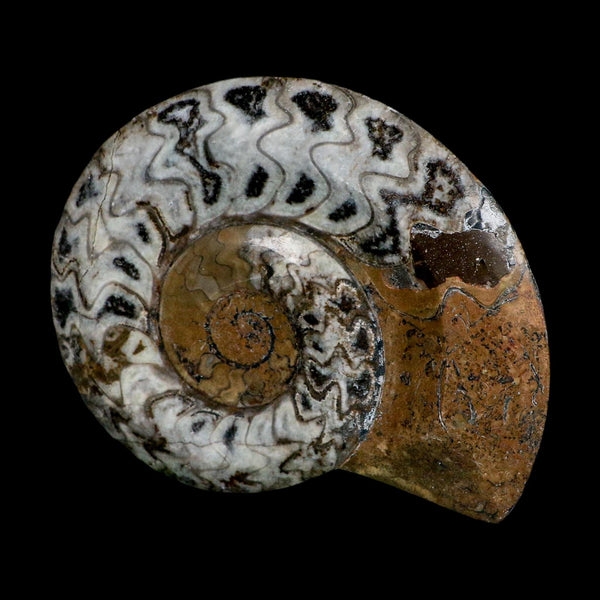 5.1
