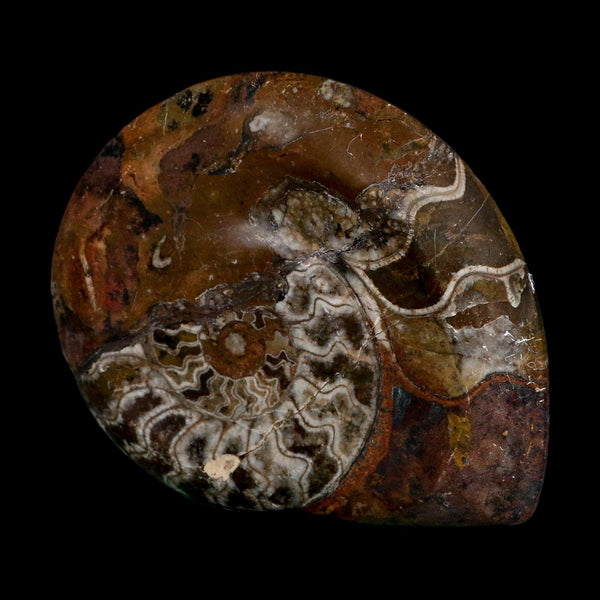 4.6
