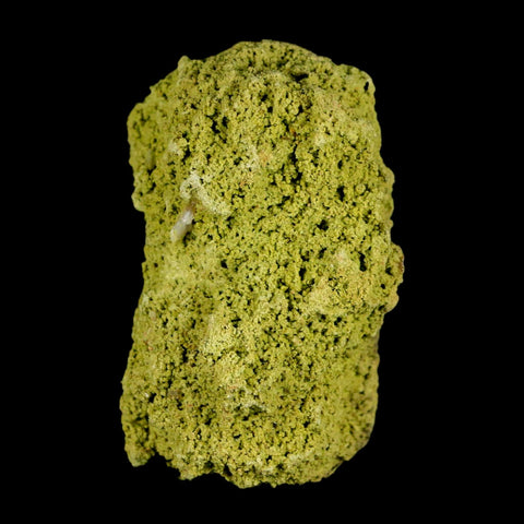 2.5" Rough Green Nontronite Mineral Specimen Jove Lauriano Minas Gerais Brazil - Fossil Age Minerals