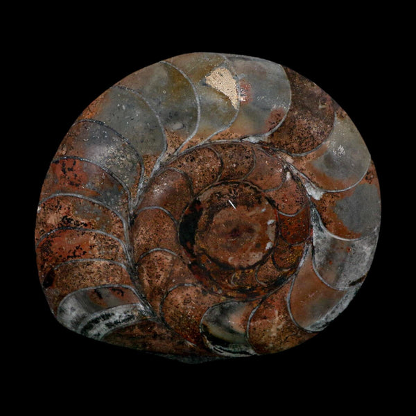 4.6