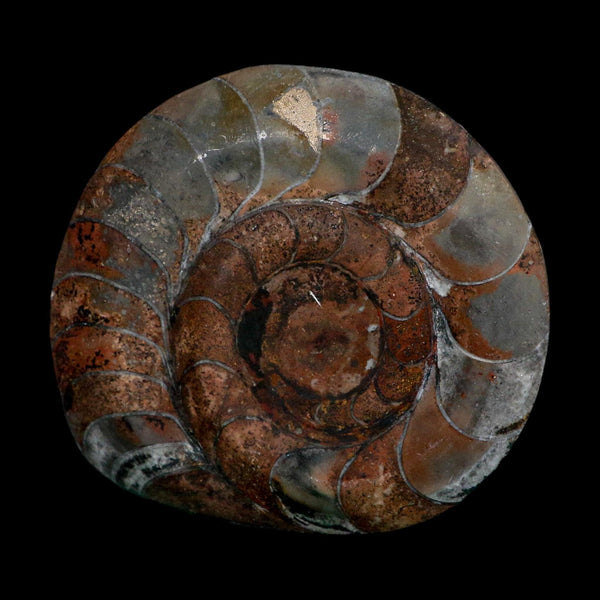 4.6