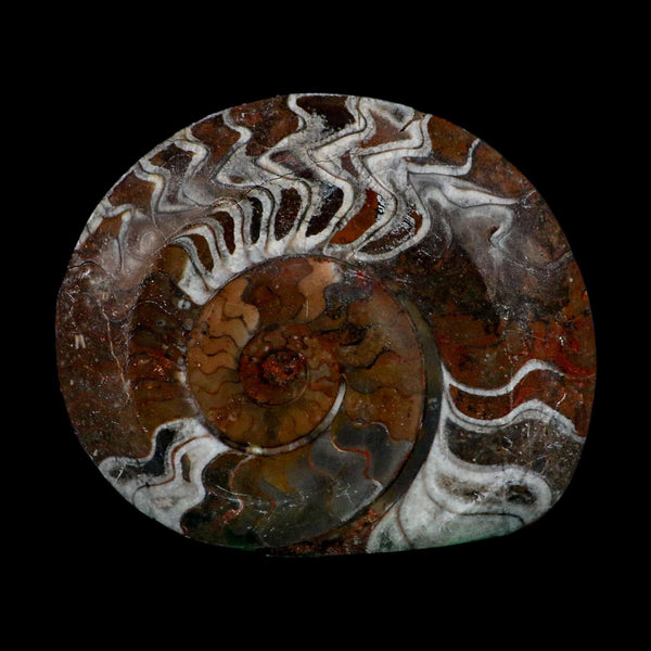 4.6