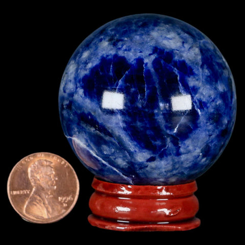 47MM Natural Blue Polished Sodalite Crystal Sphere Ball Orb Mineral Reiki Stand - Fossil Age Minerals