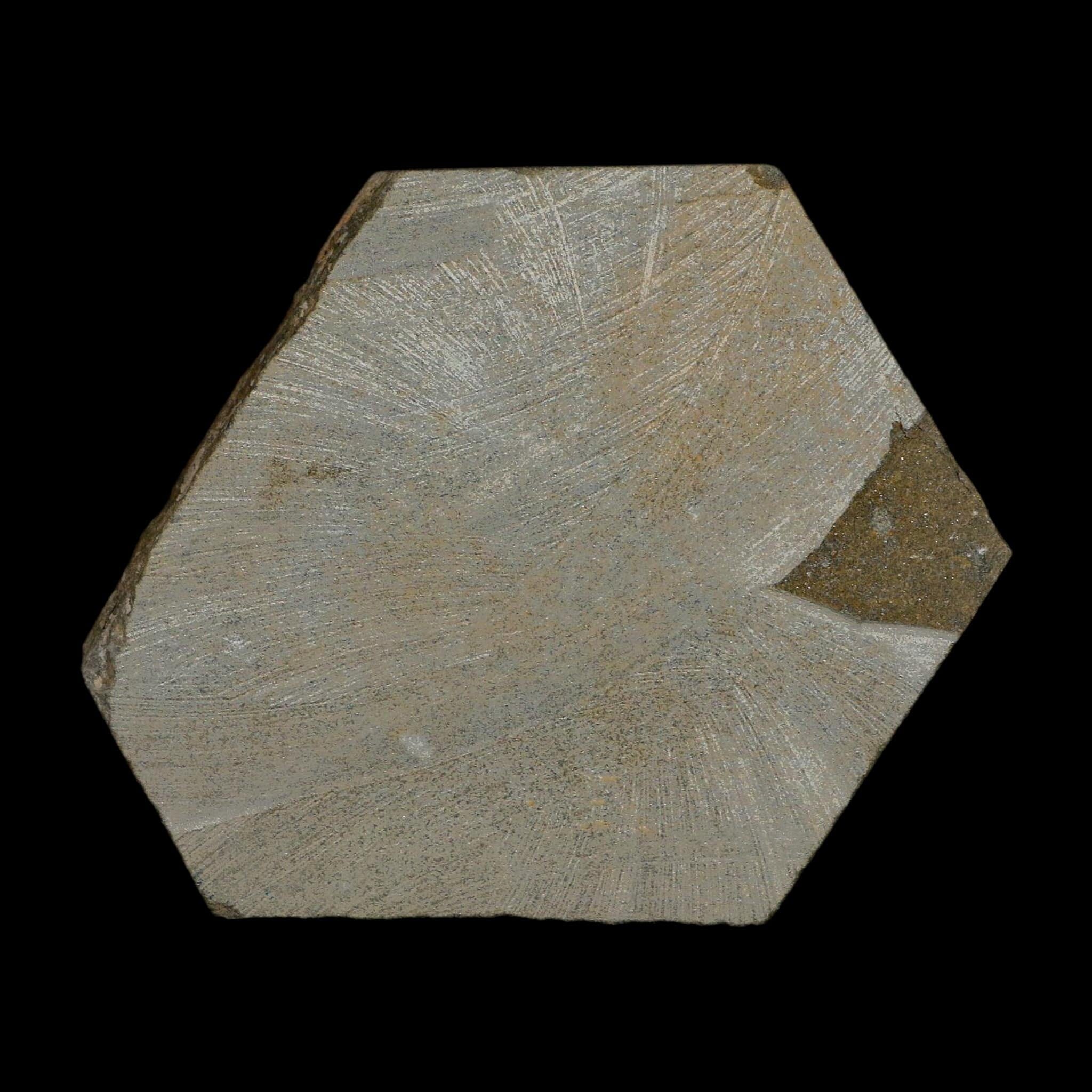 2.9" Brittlestar Ophiura Sp Starfish Fossil Ordovician Age Morocco COA - Fossil Age Minerals