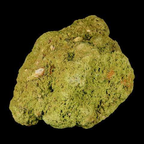 3.3" Rough Green Nontronite Mineral Specimen Jove Lauriano Minas Gerais Brazil - Fossil Age Minerals