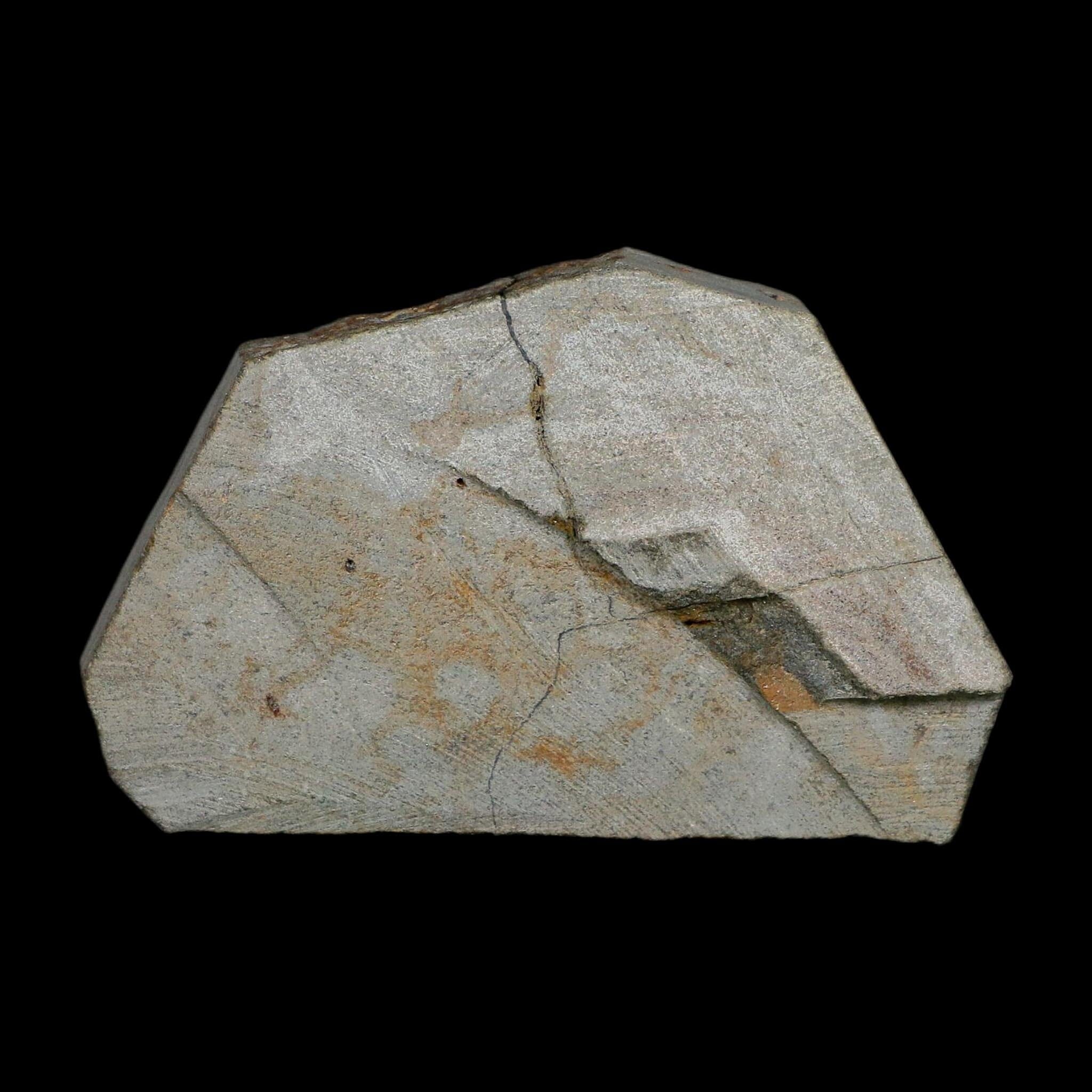 2.4" Brittlestar Ophiura Sp Starfish Fossil Ordovician Age Morocco COA - Fossil Age Minerals