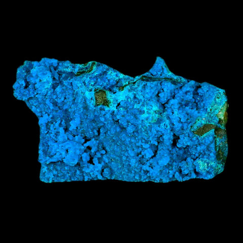 2.6" Chrysocolla Malachite Rare Botryoidal Grape Crystal Teal And Green From Peru - Fossil Age Minerals