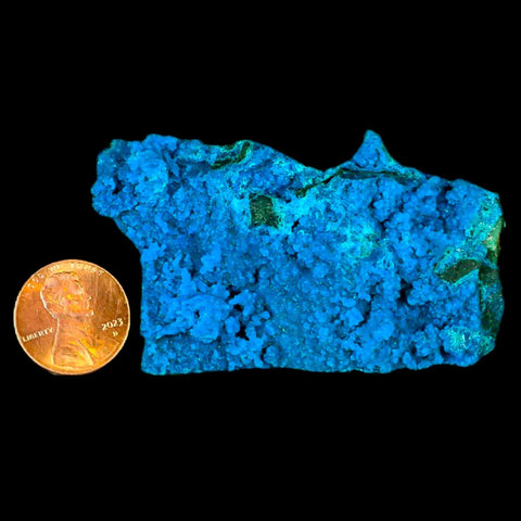 2.6" Chrysocolla Malachite Rare Botryoidal Grape Crystal Teal And Green From Peru - Fossil Age Minerals
