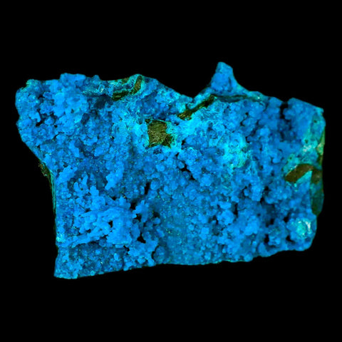2.6" Chrysocolla Malachite Rare Botryoidal Grape Crystal Teal And Green From Peru - Fossil Age Minerals