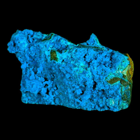 2.6" Chrysocolla Malachite Rare Botryoidal Grape Crystal Teal And Green From Peru - Fossil Age Minerals