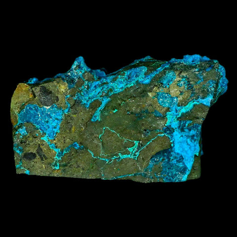 2.6" Chrysocolla Malachite Rare Botryoidal Grape Crystal Teal And Green From Peru - Fossil Age Minerals