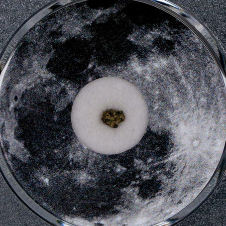 Moon Rock Lunar Meteorite Bechar 003 Algerian Sahara Desert Discovered 2022 COA