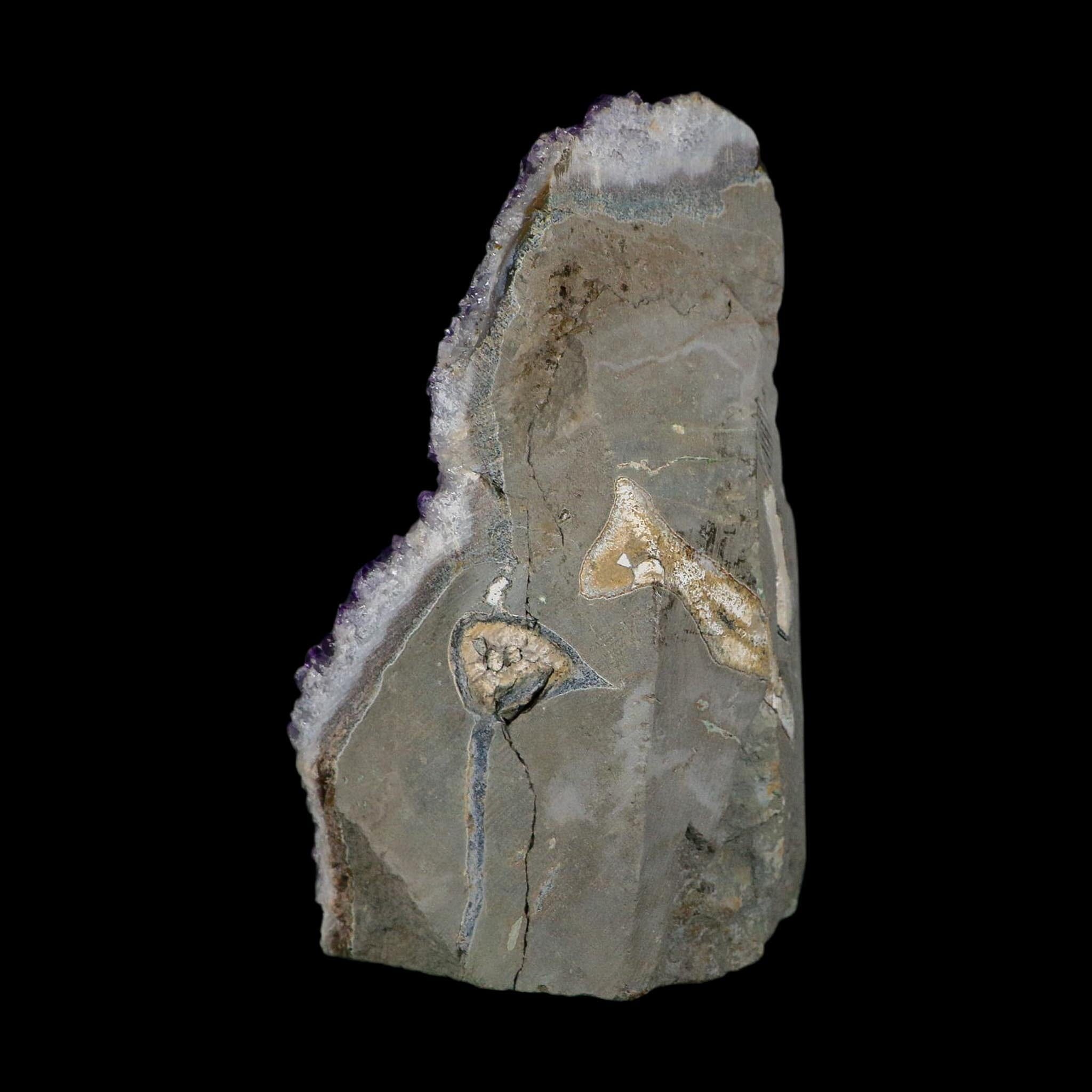 5.3" Rough Purple Amethyst Crystal Cluster Mineral Specimen Brazil Self Standing