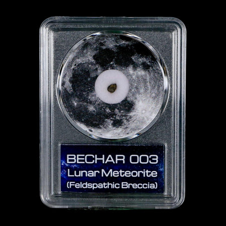 Moon Rock Lunar Meteorite Bechar 003 Algerian Sahara Desert Discovered 2022 COA