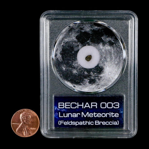Moon Rock Lunar Meteorite Bechar 003 Algerian Sahara Desert Discovered 2022 COA