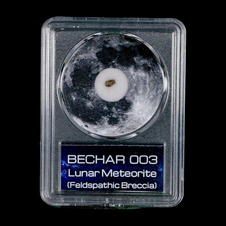 Moon Rock Lunar Meteorite Bechar 003 Algerian Sahara Desert Discovered 2022 COA