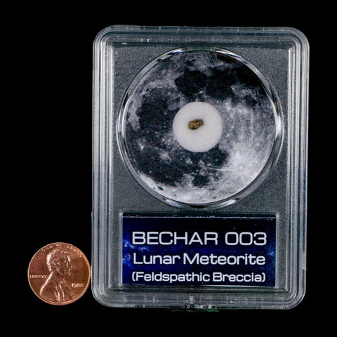 Moon Rock Lunar Meteorite Bechar 003 Algerian Sahara Desert Discovered 2022 COA
