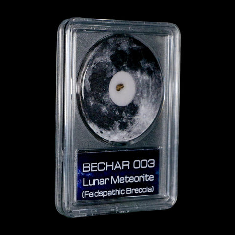 Moon Rock Lunar Meteorite Bechar 003 Algerian Sahara Desert Discovered 2022 COA