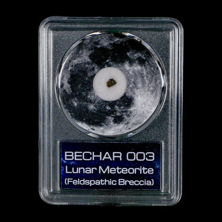 Moon Rock Lunar Meteorite Bechar 003 Algerian Sahara Desert Discovered 2022 COA