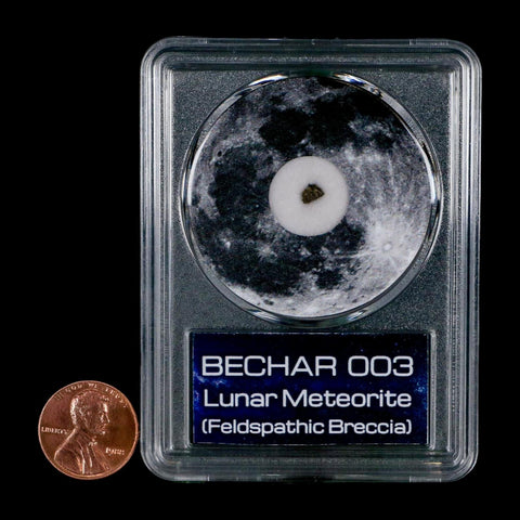 Moon Rock Lunar Meteorite Bechar 003 Algerian Sahara Desert Discovered 2022 COA