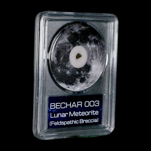 Moon Rock Lunar Meteorite Bechar 003 Algerian Sahara Desert Discovered 2022 COA