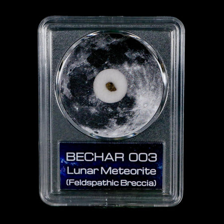 Moon Rock Lunar Meteorite Bechar 003 Algerian Sahara Desert Discovered 2022 COA