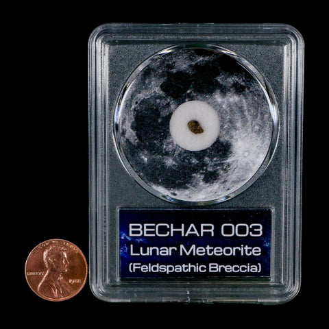 Moon Rock Lunar Meteorite Bechar 003 Algerian Sahara Desert Discovered 2022 COA