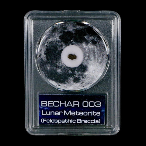 Moon Rock Lunar Meteorite Bechar 003 Algerian Sahara Desert Discovered 2022 COA