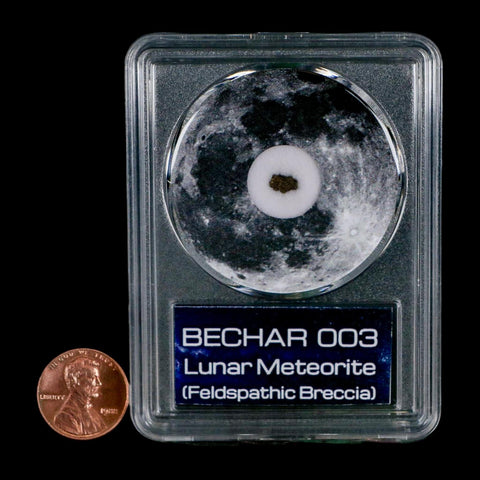 Moon Rock Lunar Meteorite Bechar 003 Algerian Sahara Desert Discovered 2022 COA
